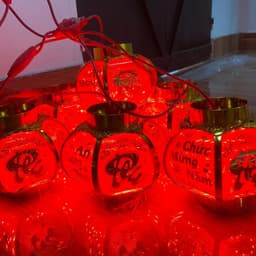 Đèn led trang trí, đèn trang trí ngoài trời D22 2