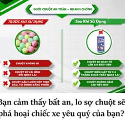 Xịt Đuổi Chuột Thảo Mộc Bio MAX 500 ML  –  An Toàn, Đuổi Chuột Hiệu Quả Không Độc Hại 3