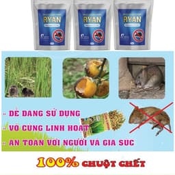 Bột Đuổi Chuột Thảo Mộc RYAN 500G – Xua Chuột Ngăn Phá Hoại, Dùng Cho Nhà Kho – Bếp – Xe 4