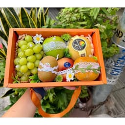 5 Hộp Nắp Mica Quai Xách Đựng Giỏ Hoa Quả, Đựng Giỏ Trái Cây (Đựng 2-3 kg Quả) 9