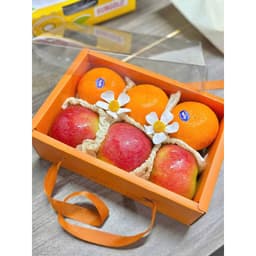5 Hộp Nắp Mica Quai Xách Đựng Giỏ Hoa Quả, Đựng Giỏ Trái Cây (Đựng 2-3 kg Quả) 8