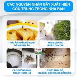Xịt Đuổi Muỗi & Côn Trùng VP-PRO Chính Hãng 530ml – Tinh Dầu Tự Nhiên, An Toàn Cho Gia Đình 8