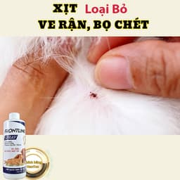 Xịt Ve Rận Bọ Chét Cho Chó Mèo Frontine Spray 500ml – Loại Bỏ  Ve Nhanh, An Toàn Thú Cưng 5
