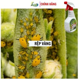 Xịt Rệp Cây Cảnh FASER 500ml – Ngừa Rệp, Bọ Trĩ, Nhện Đỏ, Sâu Hại 5