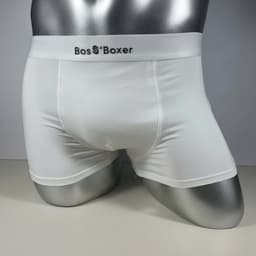 Combo 5 Quần Boxer Nam Thun Lạnh Kháng Khuẩn 10A Luxury, Mềm Mại, Co Giãn 4 Chiều, Thoáng Khí Chống Hầm Bí BO1B 4