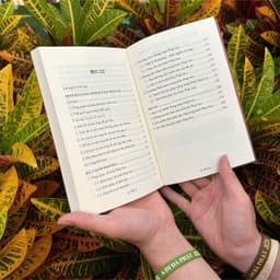Sách - Mười Bài Giảng Về Kinh Bát Đại Nhân Giác Và Đại Ý Kinh Pháp Hoa - Vĩnh Nghiêm Books 4
