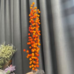 Đào đông đỏ, vàng cam 12 nhánh HÀNG LOẠI 1 quả to, bóng mượt, trang trí Tết và nhà cửa. 1