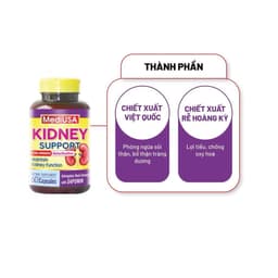 KIDNEY SUPPORT Viên uống bổ thận tráng dương  THANH LỌC, TĂNG CƯỜNG CHỨC NĂNG THẬN hộp 60 viên 3