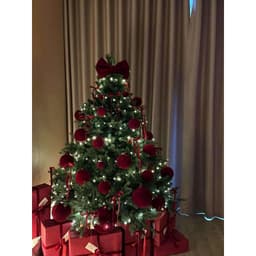Set châu nhung SIZE 4-6-8-10-12-16 CM Đồ trang trí cây thông noel rực rỡ 3