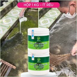 Bột Tẩy Rong Rêu Đa Năng Mộc An 500G – Tường, Nền, Gạch Men, Sân Vườn 6