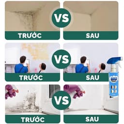 Chai Xịt Tẩy Nấm Mốc Đa Năng KELIN 500ml – Làm Sạch Mốc Tường, Mốc Silicon, Mốc Nhà Tắm 6