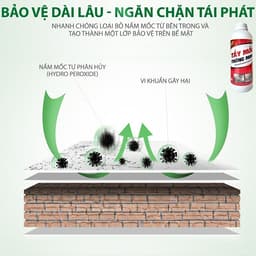 Chai Xịt Tẩy Nấm Mốc Đa Năng SMART Chính Hãng 1000ML – Làm Sạch Mốc Tường, Mốc Silicon, Mốc Nhà Tắm 6