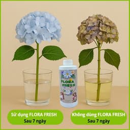 Nước Dưỡng Hoa Chuyên Dụng FLORA FRESH 500ml – Giúp Hoa Nở Đều, Tươi Lâu Gấp 3 Lần 4
