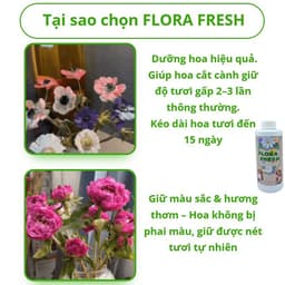 Nước Dưỡng Hoa Chuyên Dụng FLORA FRESH 500ml – Giúp Hoa Nở Đều, Tươi Lâu Gấp 3 Lần 8