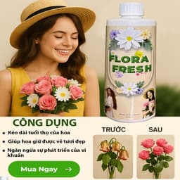 Nước Dưỡng Hoa Chuyên Dụng FLORA FRESH 500ml – Giúp Hoa Nở Đều, Tươi Lâu Gấp 3 Lần 9