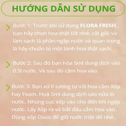 Nước Dưỡng Hoa Chuyên Dụng FLORA FRESH 500ml – Giúp Hoa Nở Đều, Tươi Lâu Gấp 3 Lần 2
