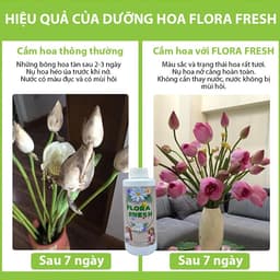 Nước Dưỡng Hoa Chuyên Dụng FLORA FRESH 500ml – Giúp Hoa Nở Đều, Tươi Lâu Gấp 3 Lần 3