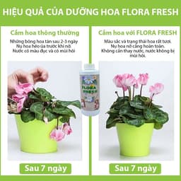 Nước Dưỡng Hoa Chuyên Dụng FLORA FRESH 500ml – Giúp Hoa Nở Đều, Tươi Lâu Gấp 3 Lần 6