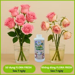 Nước Dưỡng Hoa Chuyên Dụng FLORA FRESH 500ml – Giúp Hoa Nở Đều, Tươi Lâu Gấp 3 Lần 5