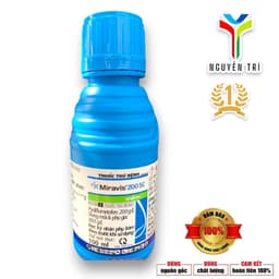 1 thùng 50 chai Miravis 200SC Syngenta 100ml - phấn trắng, đốm nâu hại Thanh Long 1