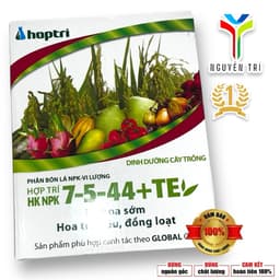1 Hộp 25 gói NPK 7-5-44+TE Hợp Trí (Gói 40g) - Kích Thích Ra Hoa Sớm, Trổ Bông Đồng Loạt, Chắc Hạt 1