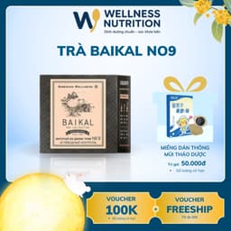 Thực phẩm bảo vệ sức khỏe Trà thảo mộc Baikal tea collection hỗ trợ tiểu đường  Herbal tea №9 Wellness Siberian 1