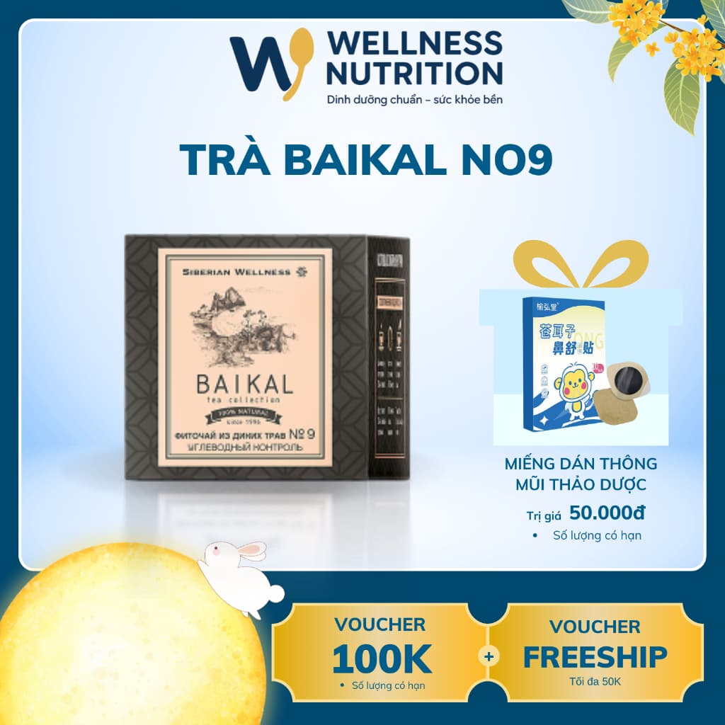 Thực phẩm bảo vệ sức khỏe Trà thảo mộc Baikal tea collection hỗ trợ tiểu đường  Herbal tea №9 Wellness Siberian