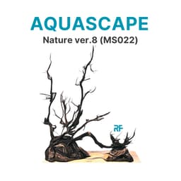 Layout Nature ver.8 phong cách Biotop dùng trang trí bể cá Betta 20x20x20cm (Ms022) 1
