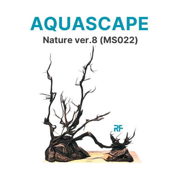 Layout Nature ver.8 phong cách Biotop dùng trang trí bể cá Betta 20x20x20cm (Ms022)
