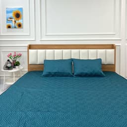 BỘ GA GỐI Chun Trần Bông Phi Lụa Bóng Các Loại Nhiều Màu Sắc  –  Kích Thước 1m2,1m4,1m5,1m6,1m8,2m2 7