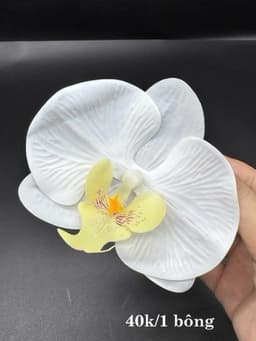 Cài Tóc Hoa Lan Hồ Điệp Đỏ Nhung Cô Dâu - Kẹp Phụ Kiện Tóc Cưới Ăn Hỏi Nhiều Màu 4