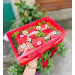 (Combo 10 bộ )Bộ khay giấy+nắp Meka 27x18x9 đựng hoa quả ,quà tặng,quà biếu. 4