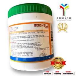 Norshield 58WP hũ 400gr (Đồng đỏ chính hiệu) - Bám dính tốt, không nóng bông/trái, Đặc trị Nấm bệnh 2