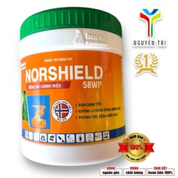 Norshield 58WP hũ 400gr (Đồng đỏ chính hiệu) - Bám dính tốt, không nóng bông/trái, Đặc trị Nấm bệnh 3