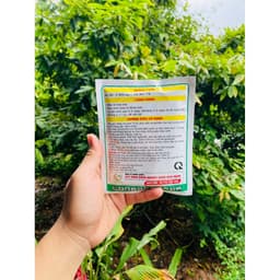 RỤNG LÁ MAI X2 ĐỒNG LOẠT HIỆU QUẢ SAU 2-4 NGÀY AN HIỆU QUẢ -AN TOÀN-TIẾT KIỆM GÓI  180Gr 2