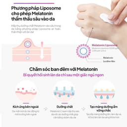 Kem Dưỡng Da Ban Đêm Maxclinic Time Return Melatonin Cream 50g - WANYI 6