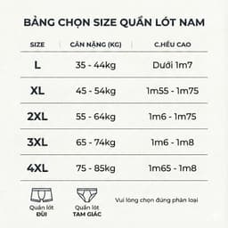 Combo 5 Quần Boxer Nam Thun Lạnh Kháng Khuẩn 10A Luxury, Mềm Mại, Co Giãn 4 Chiều, Thoáng Khí Chống Hầm Bí BO1B 9