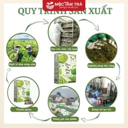 Trà Phan Tả Diệp Mộc Tâm An Hộp 25 Gói x 3.5g 5