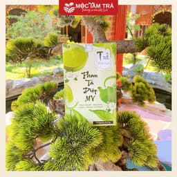 Trà Phan Tả Diệp Mộc Tâm An Hộp 25 Gói x 3.5g 7