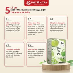 Trà Phan Tả Diệp Mộc Tâm An Hộp 25 Gói x 3.5g 2