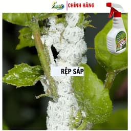 Xịt Rệp Cây Cảnh FASER 500ml – Ngừa Rệp, Bọ Trĩ, Nhện Đỏ, Sâu Hại 4