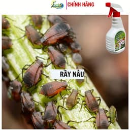 Xịt Rệp Cây Cảnh FASER 500ml – Ngừa Rệp, Bọ Trĩ, Nhện Đỏ, Sâu Hại 3