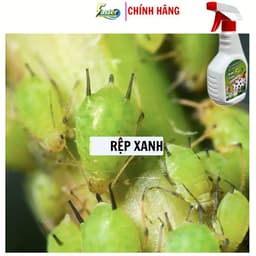 Xịt Rệp Cây Cảnh FASER 500ml – Ngừa Rệp, Bọ Trĩ, Nhện Đỏ, Sâu Hại 2