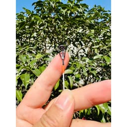 Cần Câu WuTu - A1 Cắm Gốc Sợi Thuỷ Tinh. Độ Cứng Tương Đương SUL Siêu Dẻo 6