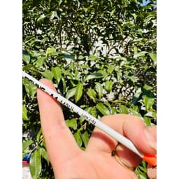 Cần Câu WuTu - A1 Cắm Gốc Sợi Thuỷ Tinh. Độ Cứng Tương Đương SUL Siêu Dẻo 2