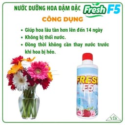 Nước Dưỡng Hoa Chuyên Dụng Fresh F5 500ml – Giúp Hoa Nở Đều, Tươi Lâu Gấp 3 Lần 4