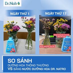 Nước Dưỡng Hoa Chuyên Dụng DR NATRO Chính Hãng 300ml – Giúp Hoa Nở Đều, Tươi Lâu Gấp 3 Lần 8