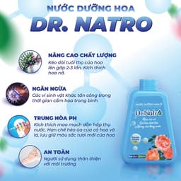 Nước Dưỡng Hoa Chuyên Dụng DR NATRO Chính Hãng 300ml – Giúp Hoa Nở Đều, Tươi Lâu Gấp 3 Lần 2