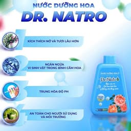 Nước Dưỡng Hoa Chuyên Dụng DR NATRO Chính Hãng 300ml – Giúp Hoa Nở Đều, Tươi Lâu Gấp 3 Lần 9