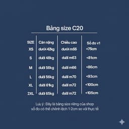 Áo Thun Nữ Dài Tay  AT02 Cổ Tròn, Cotton Mịn Dày Dặn, Siêu Co Giãn Mềm Mại, Tôn Dáng 3